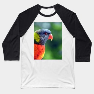 Rainbow Lorikeet Baseball T-Shirt